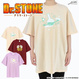 Dr．STONE オーバーサイズTシャツ（石神千空/獅子王司/あさぎりゲン) 公式ライセンス商品 グッズ 【421】