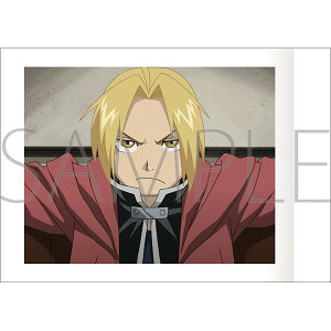 yBOX̔z|̘Bpt ObY ςႱ S40 y1SET10zyAjCgzy401z