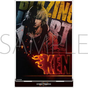 1/17iylR|XΉzXg[gt@C^[6 ObY ANX^h S18 yAjCgzy401z