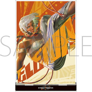 1/17iylR|XΉzXg[gt@C^[6 ObY ANX^h xK^Gi yAjCgzy401z