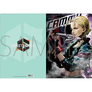 1/17i Xg[gt@C^[6 ObY NAt@C [N^WFC~[^W^L~B^Gh yAjCgzy401z