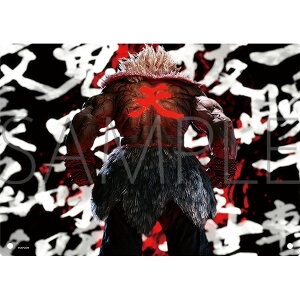 1/17i Xg[gt@C^[6 ObY ANA[gpl S yAjCgzy401z