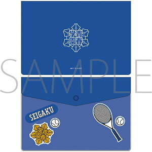 ylR|XΉzVejX̉ql ObY tbgP[X tw^Xw^ÒwZ^lV󎛒wZ yAjCgzy401z