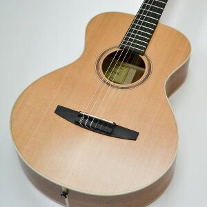 【レイクウッドギターズ】Lakewood Guitars A-14 Crossover Custom Cedar【AAAシダー】【マホガニー】【クラシックギター】【フィンガースタイル】【ドイツ製】【ナイロン弦】【クラギ】