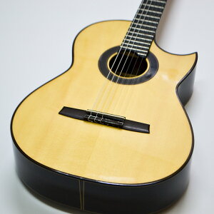 ynjJM^[YzHanika Guitars Fusion PFyNVbNM^[zyhCczyXv[XzyCfBA[YEbhzyJb^EFCtz