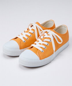 Xj[J[ C 4E L  Ch 傫TCY fB[X ʊw ʋ LoX JWA [Jbg [XAbv (ANAJ_)