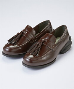 JWAV[Y C 4E L  Ch 傫TCY fB[X ^bZ [t@[V[Y ʋ ʊw ACQUA PALETTE ANApbg (ANAJ_ )