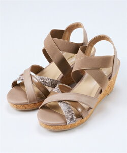 T_ C 4E L  Ch 傫TCY NXfUC Rr EFbW ₷ E₷ Vv JWA (ANAJ_)