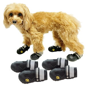 p hbOV[Y S C  Jp CV[Y AEghA hbOEFA ₯ǖh~ h~ h~ ˔t S ʋC PK Eɂ  EFA ^ ^ ^ h 