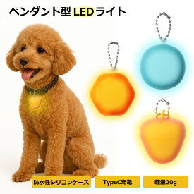 犬 散歩 ライト ペット用 猫 ペンダント チャーム キーホルダー 充電式 光る LED 軽量 シリコン 安全対策 高視認性 かわいい 夜間 散歩用 軽い 小型犬 中型犬 大型犬 キラキラ ペット用品 光る首輪 アウトドア 点滅 お散歩ライト 可愛い タイプC USB 夜用
