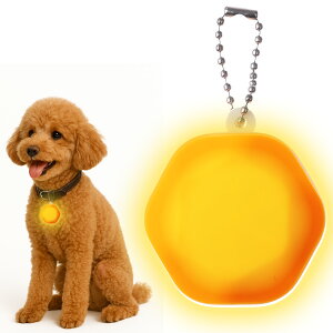 犬 散歩 ライト ペット用 猫 ペンダント チャーム キーホルダー 充電式 光る LED 軽量 シリコン 安全対策 高視認性 かわいい 夜間 散歩用 軽い 小型犬 中型犬 大型犬 キラキラ ペット用品 光る