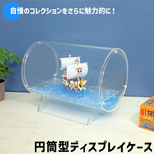 ~^fBXvCP[X [sizeFa10cm×40cm]  NA RNV fBXvC tBMA vf l` P[X AN Vbv X iW ی CeA zr[ 