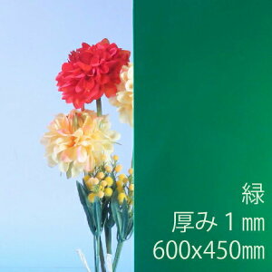 Tf[V[g drj[ (700) s 1mm 450×600mm M45TCY PVC vX ȏΐ F DIY ANTf[