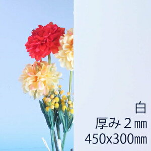 Tf[V[g drj[ (200) s 2mm 300×450mm S30TCY vX ȏΐ F DIY ANTf[