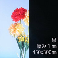 サンデーシート 硬質塩化ビニール 黒(300) 不透明 厚み1mm 300×450mm S30サイズ PVC プレス板 自己消火…