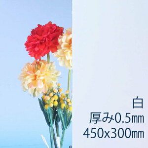 Tf[V[g drj[ (200) s 0.5mm 300×450mm S30TCY vX ȏΐ F DIY ANTf[