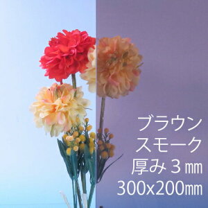 Tf[V[g drj[ uEX[N(820)  3mm 200×300mm SS20TCY PVC vX ȏΐ DIY ANTf[