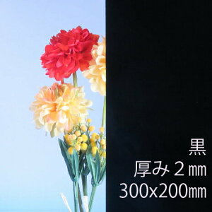 Tf[V[g drj[ (300) s 2mm 200×300mm SS20TCY PVC vX ȏΐ F DIY ANTf[