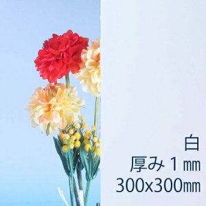 Tf[V[g drj[ (200) s 1mm 300×300mm SS30TCY PVC vX  ȏΐ F DIY ANTf[