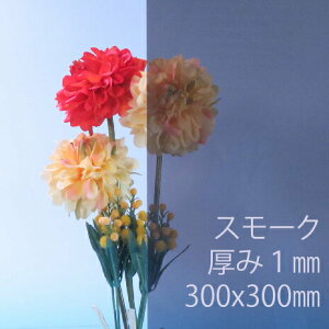 Tf[V[g drj[ X[N(810)  1mm 300×300mm SS30TCY PVC vX ȏΐ DIY ANTf[