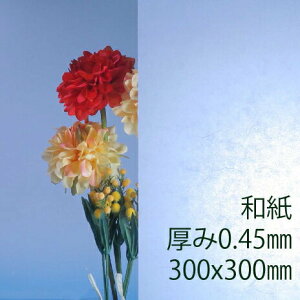 Tf[V[g drj[ a(800) 0.45mm 300×300mm SS30TCY PVC vX ȏΐ DIY ANTf[