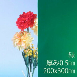 Tf[V[g drj[ (700) s 0.5mm 200×300mm SS20TCY PVC vX ȏΐ F DIY ANTf[