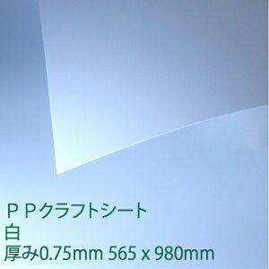 PPNtgV[g (PS-2) 0.75mm |vs Ƒ PPV[g ~ DIY ANTf[