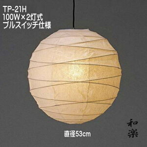 aƖ aƖ ȁƖ y_gCg gFn Y VƖ a_̓   tJ TP-21H2 a53cm