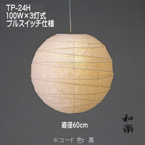 aƖ aƖ ȁƖ y_gCg Y VƖ a   tJ TP-24H 3 a60cm
