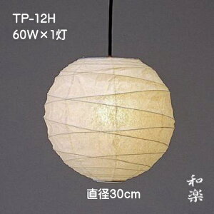aƖ aƖ ȁƖ y_gCg gFn Y VƖ a    RpNgTCY tJ TP-12H a30cm