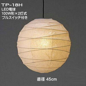 aLEDƖ aƖ ȁƖ y_gCg VƖ a  gFn   tJ TP-18H 2@LED@a45cm