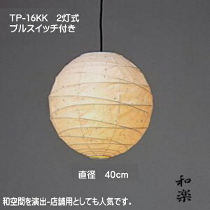 aƖ a y_gCg VƖ a_̓   TP-16KK 2 a40cm 玆