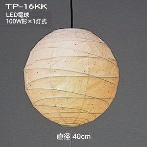 LEDƖ@a y_gCg Ɩ VƖ a    TP-16KK LED@a40cm 玆