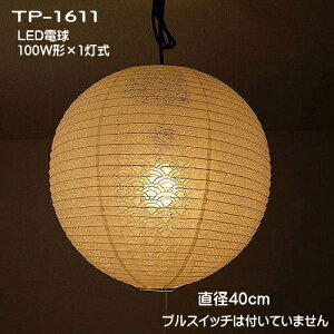 LEDƖ  a_ y_gCg V݉Ɩ 񓔃y_g   [Xa TP-1611LEDij