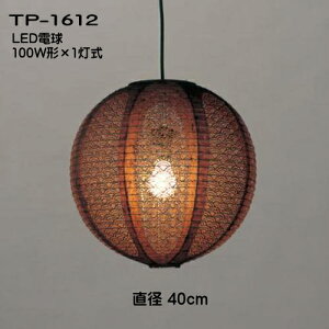 LEDƖ y_gCg a _ V݉Ɩ 񓔃y_g   [Xa TP-1612LEDij