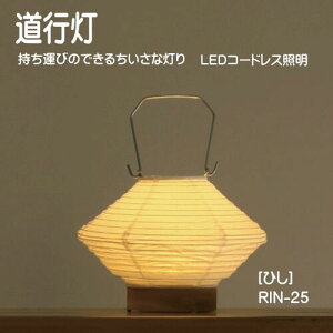 LED Ɩ RpNg @킢@X^hCg R[hX CeACg a _ a̓@s@RIN-25@Ђ