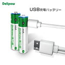 「WASHODO」DELIPOW 単4 1.5V 1200mAh USB充電式電池 2本 USBケーブル1本 リチウム イオンバッテリー 安心保証付き[800-0118C]
