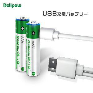 uWASHODOvDELIPOW P4 1.5V 1000mAh USB[ddr 2{ USBP[u1{ `E CIobe[ Sۏؕt[800-0118C]