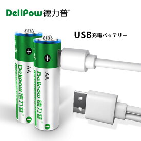 「WASHODO」DELIPOW usb充電式電池 単3 2本セット USB充電式電池 1.5V 1950mWh リチウム イオンバッテリー USBケーブル 安心保証付き[800-0119C]送料無料