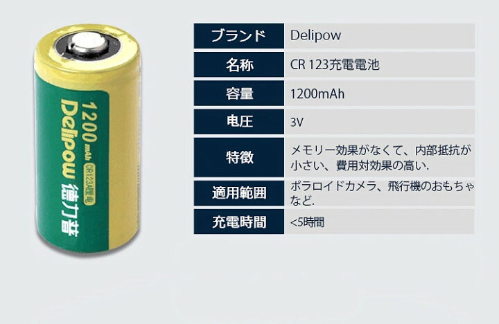 冬バーゲン☆】 WASHODO Delipow CR123A充電器 2本リチウム電池 専用急速充電器 高品質ブランド品 三ヶ月安心保証付き  800-0117C