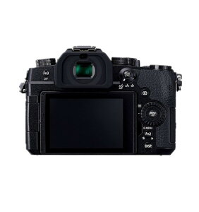 �u�a�Ó��vpanasonic G�V���[�Y ���J���� DC-G99 �t����p �ی�t�B�����u503-0029�v