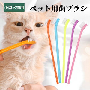 ^L _炩uV iC_юgp 5FI CALAa\h ̎ Lf^PAȂ oPA L ^݌v g₷ JԂgp 2{