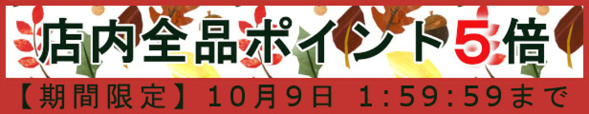 店内全商品ポイント5倍(KM)