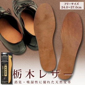 【P5倍×5％OFFクーポン】天然牛革インソール 栃木レザー コロンブス 本革 中敷き天然レザー 消臭 薄い 蒸れない 悪臭 足汗 足の臭い対策 革靴 ビジネスシューズ通勤 通学 革靴 抗菌 メンズ 男性用 足のニオイ 蒸れ ムレ 汗 サラリーマン