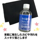 靴 かびSKカビ取りクリーナー 70mlタイプ ■ミニテレンププレゼント■