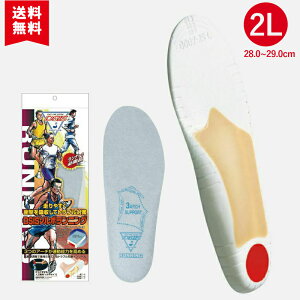 _P5{×10%OFFN[|L^DSIS\{jO 22.0`31.0 i[ }\ ㋣Z guy jOpC\[ Y fB[X Ռz Ռɘa