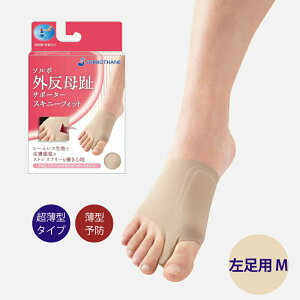 y{|Cg5{zO  \{OT|[^[XLj[tBbg K ʋC e͐ 퐶 tBbg ͕U Ռz oX␮