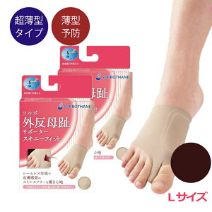 O  \{OT|[^[XLj[tBbg 2Zbg K ʋC e͐ 퐶 tBbg ͕U Ռz oX␮