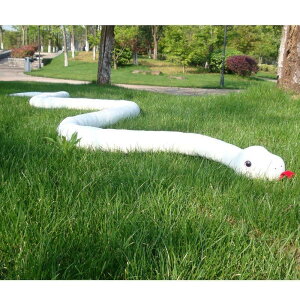 y20%OFFN[|Ώہzꕔ[   ւ wr 傫  ʂ  xbh ߋ ӂӂ  ̎q j̎q 킢 Mtg  CeA A