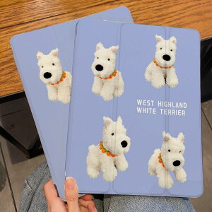 _bNXth y iPad 10.9 10 re[W   10.9 9 iPad mini6 9 pro 11C` ˂ air 5  ipadP[X Jo[